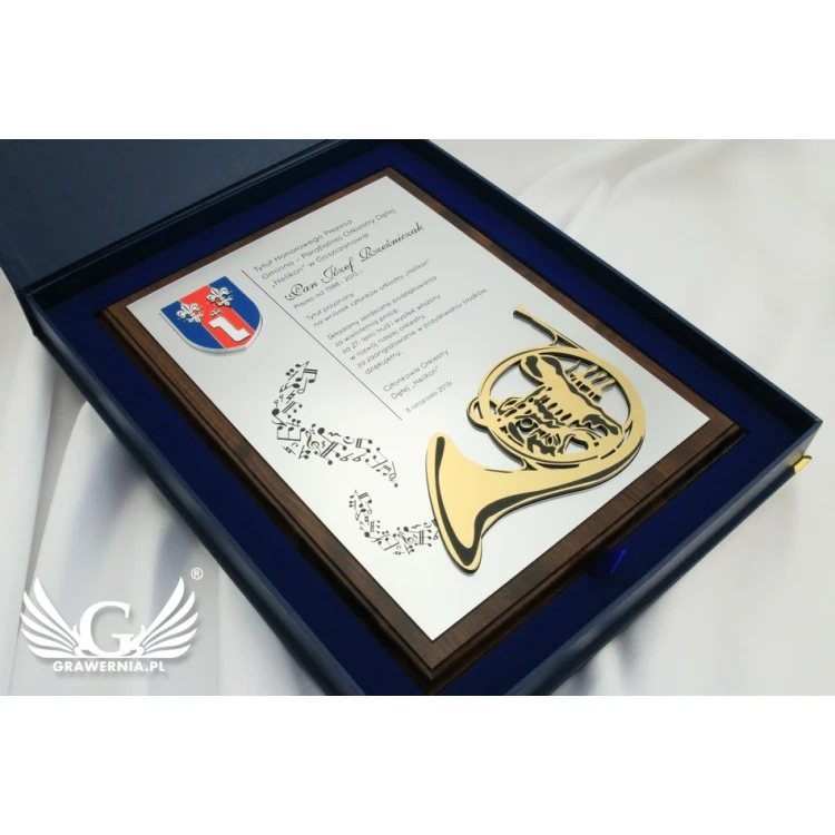 Diploma for a musician with embossed musical instrument graphic - SL043