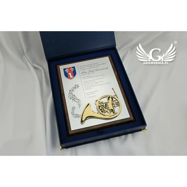 Diploma for a musician with embossed musical instrument graphic - SL043