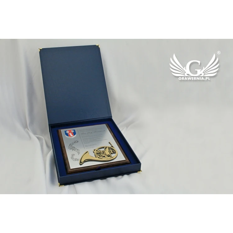 Diploma for a musician with embossed musical instrument graphic - SL043