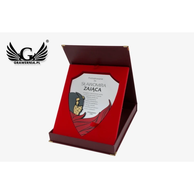 Diploma for Firefighter 180x225mm - Mini Shield in Elegant Case - DS027