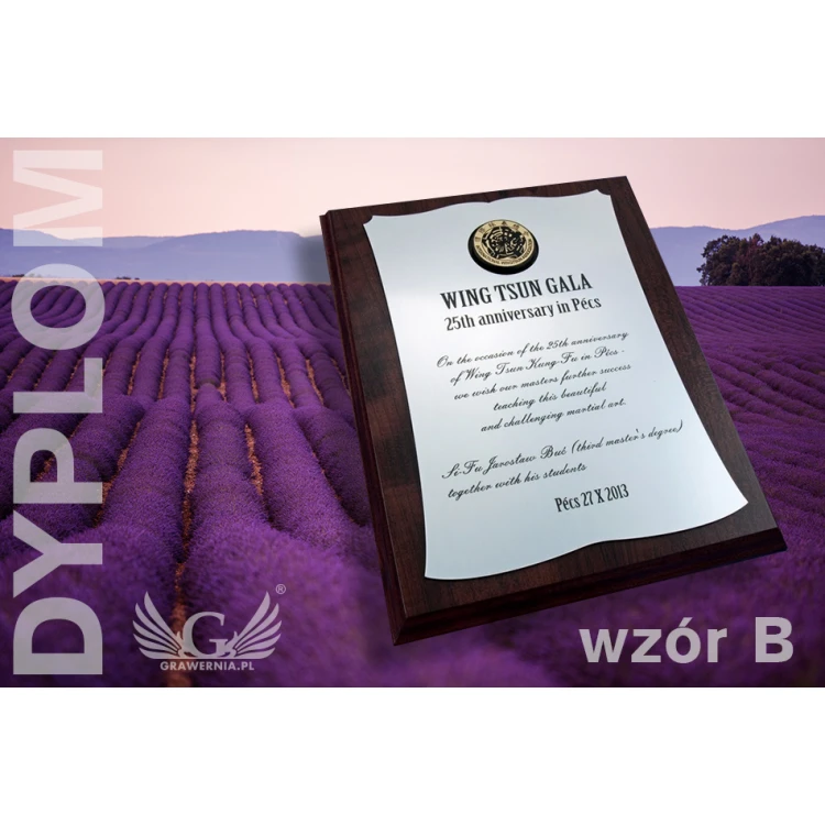COURT DIPLOMA - SL011