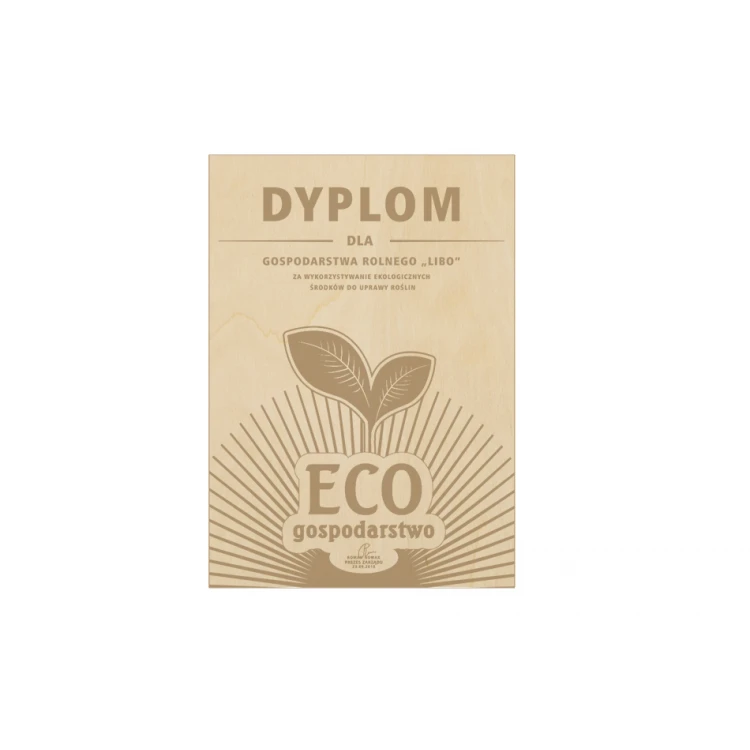 EKO Diploma in Wooden Frame - A4 - Laser Engraved - NAT015