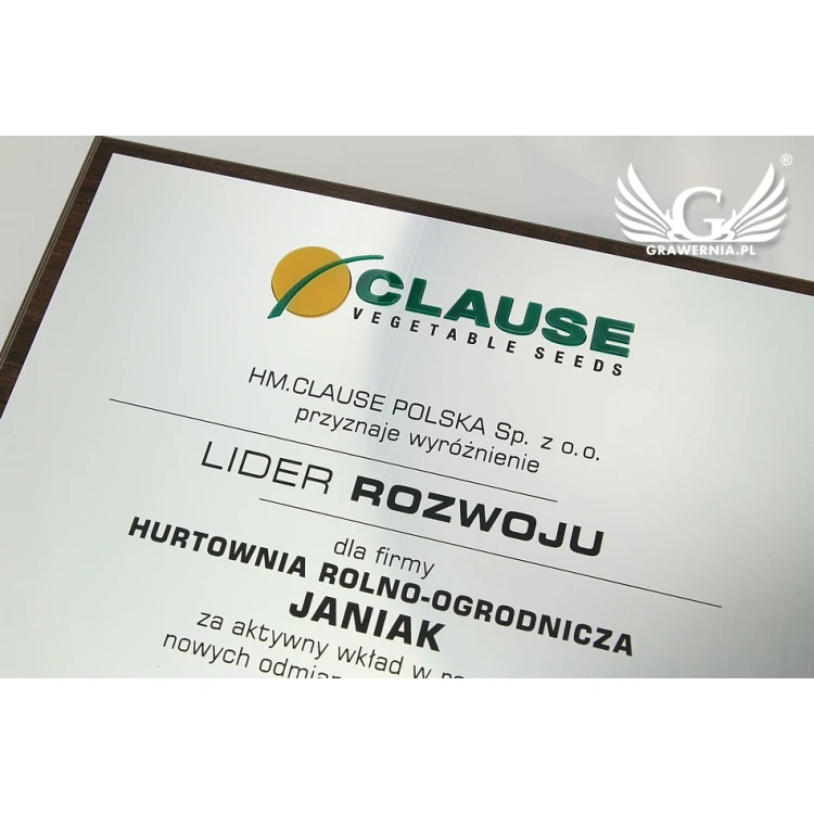 Engraved Diploma with Embossed Logo - Horizontal - SL044
