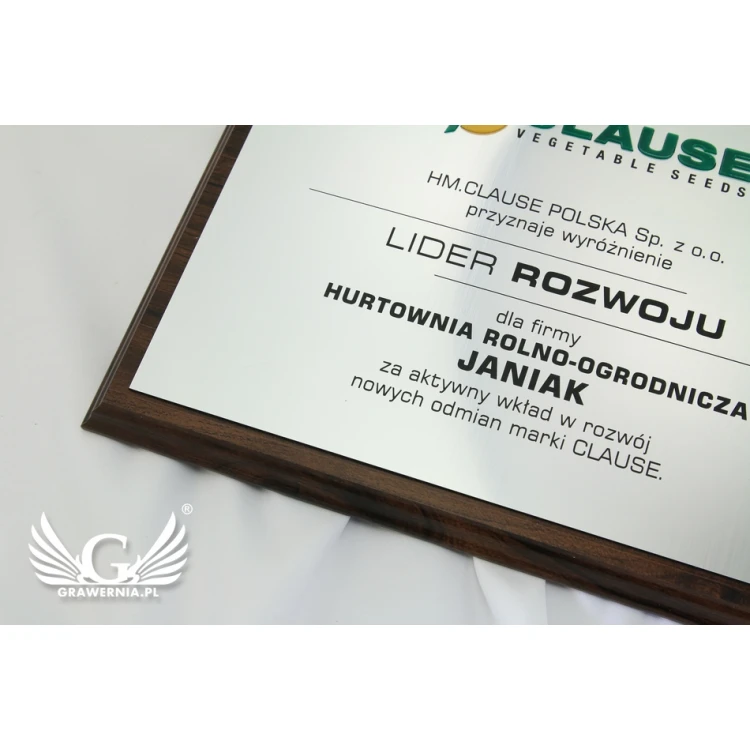 Engraved Diploma with Embossed Logo - Horizontal - SL044
