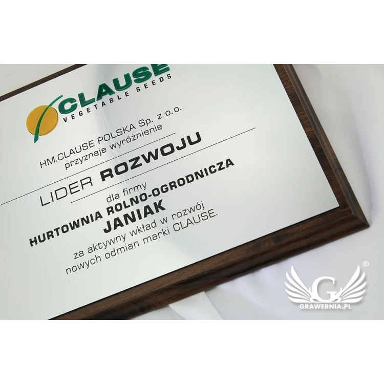 Engraved Diploma with Embossed Logo - Horizontal - SL044