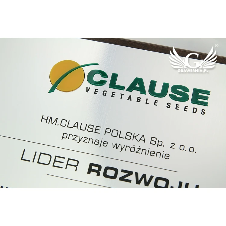 Engraved Diploma with Embossed Logo - Horizontal - SL044