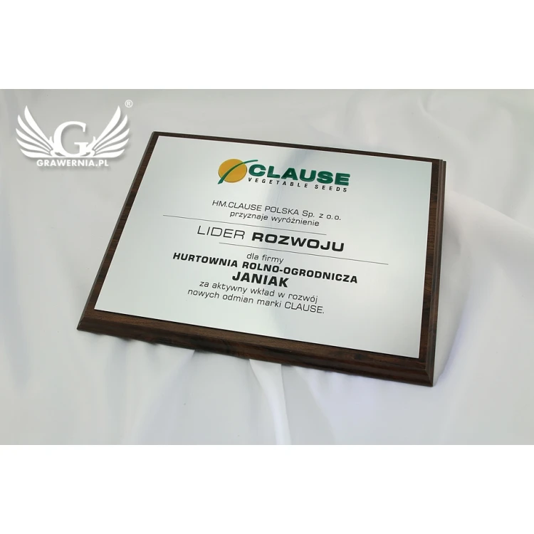Engraved Diploma with Embossed Logo - Horizontal - SL044