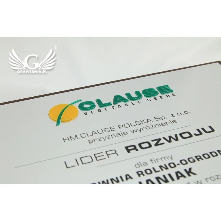 Engraved Diploma with Embossed Logo - Horizontal - SL044