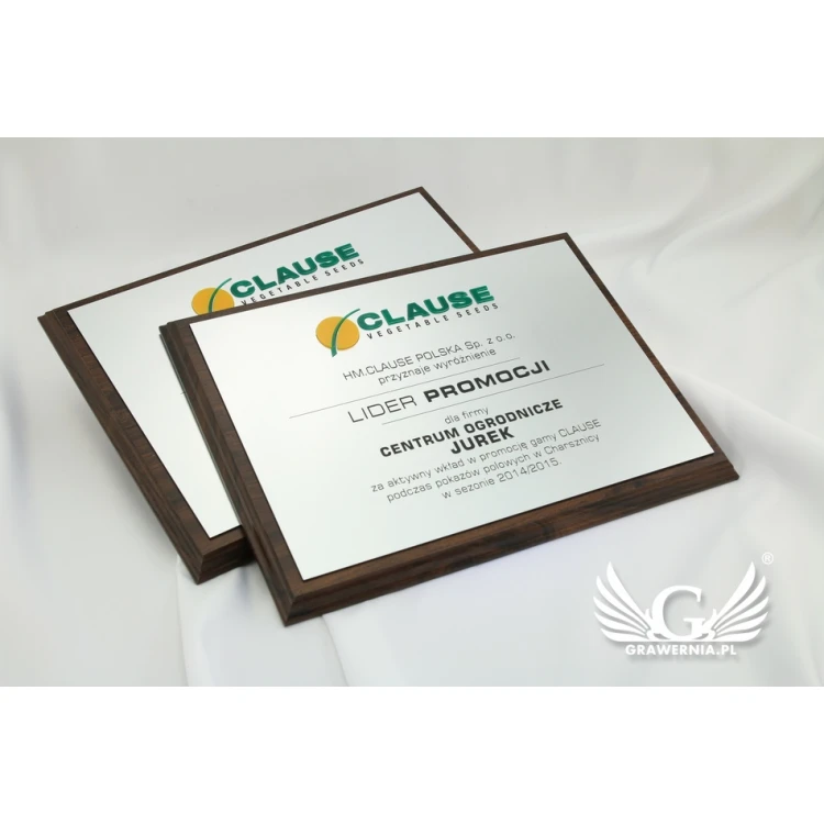Engraved Diploma with Embossed Logo - Horizontal - SL044