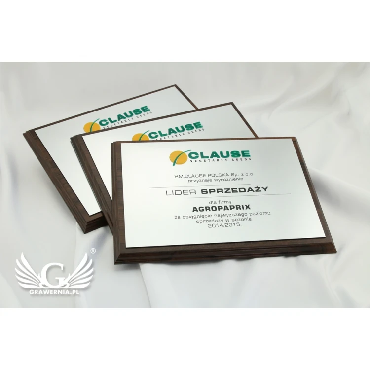 Engraved Diploma with Embossed Logo - Horizontal - SL044