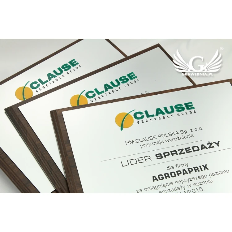 Engraved Diploma with Embossed Logo - Horizontal - SL044