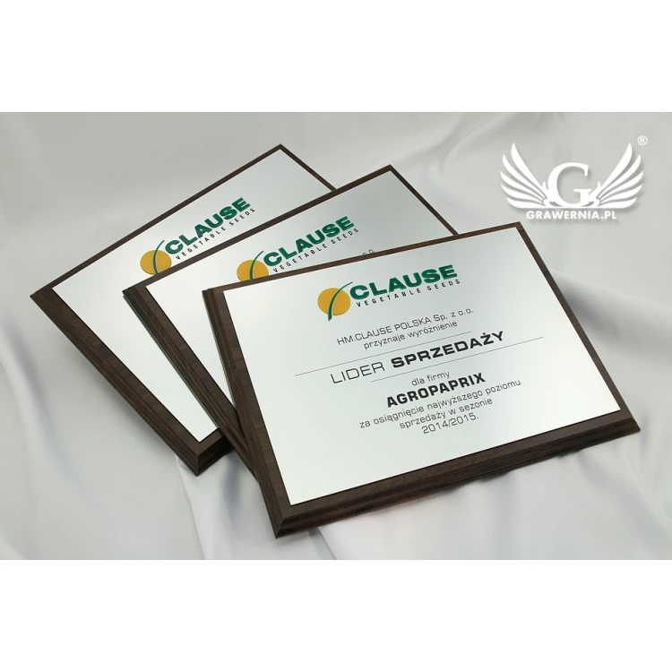Engraved Diploma with Embossed Logo - Horizontal - SL044
