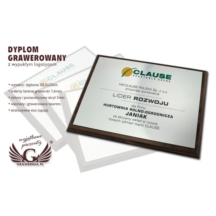 Engraved Diploma with Embossed Logo - Horizontal - SL044