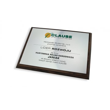 Engraved Diploma with Embossed Logo - Horizontal - SL044