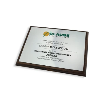 Engraved Diploma with Embossed Logo - Horizontal - SL044