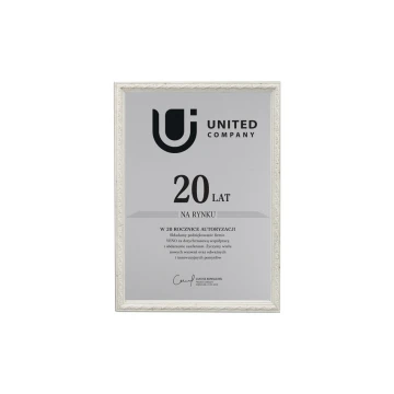 Anniversary Diploma in Frame - Silver Engraving Laminate - DWR7