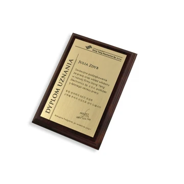 DIPLOMA MD1 - DS020