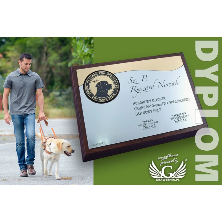DIPLOMA MD3 - HONORARY MEMBER - diploma with round logo - SL062