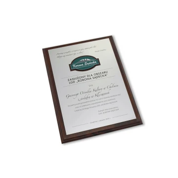 Diploma on a wooden base with embossed logo - SL040
