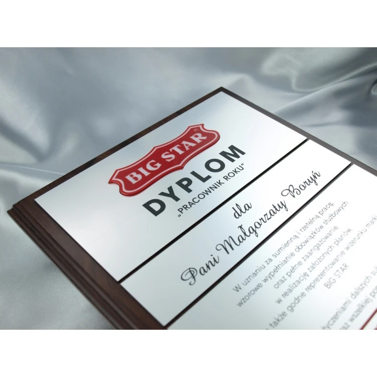 Diploma - EMPLOYEE OF THE YEAR - with two embossed logos - SL028