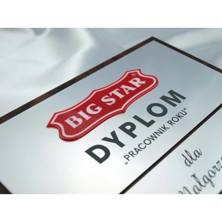 Diploma - EMPLOYEE OF THE YEAR - with two embossed logos - SL028