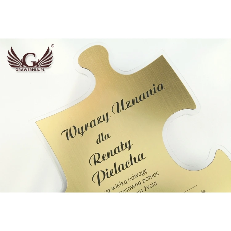 DIPLOMA PUZZLE - DS001