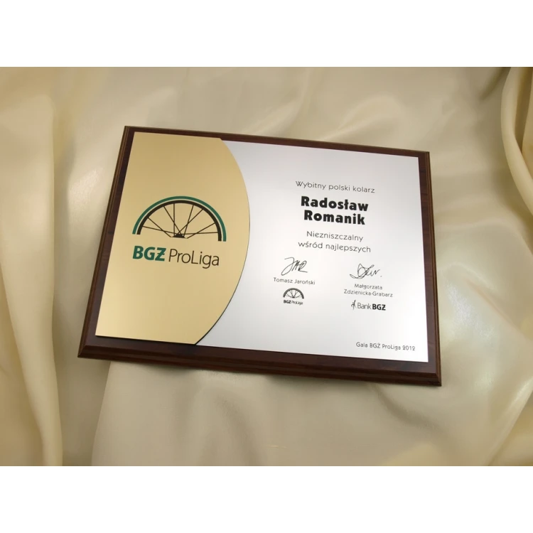 DIPLOMA KOLORPLUS - SL016