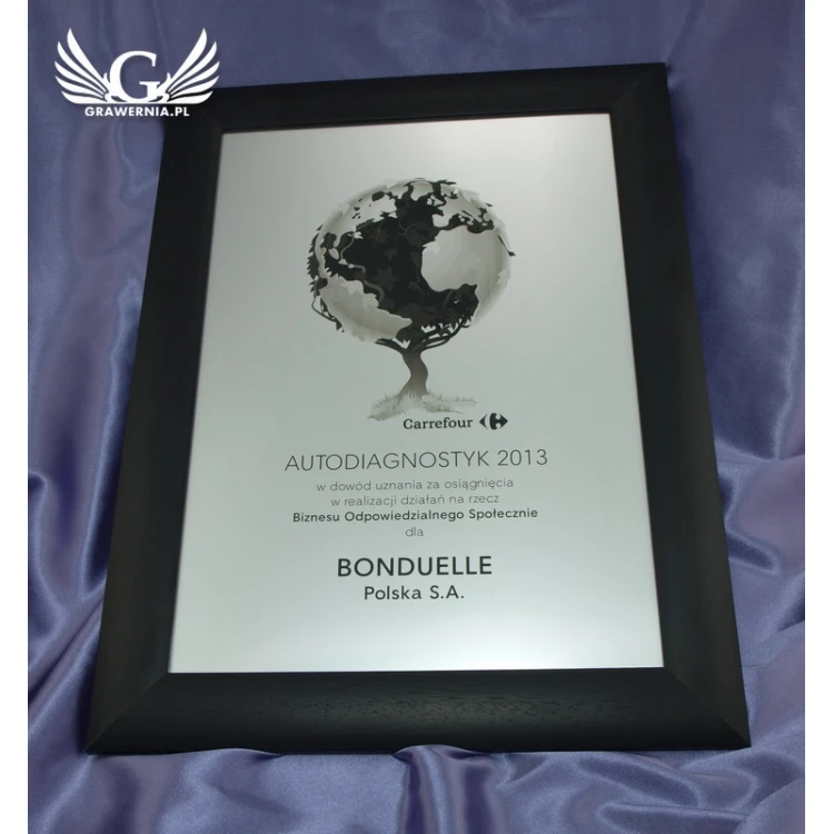 SPECIAL DIPLOMA in FRAME - SL017 - A3 format + frame