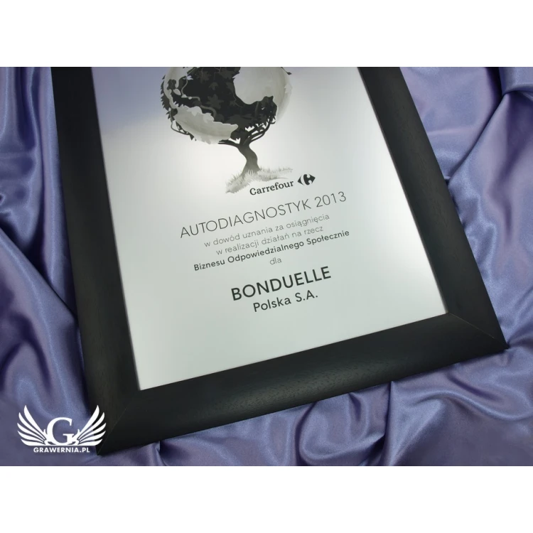 SPECIAL DIPLOMA in FRAME - SL017 - A3 format + frame