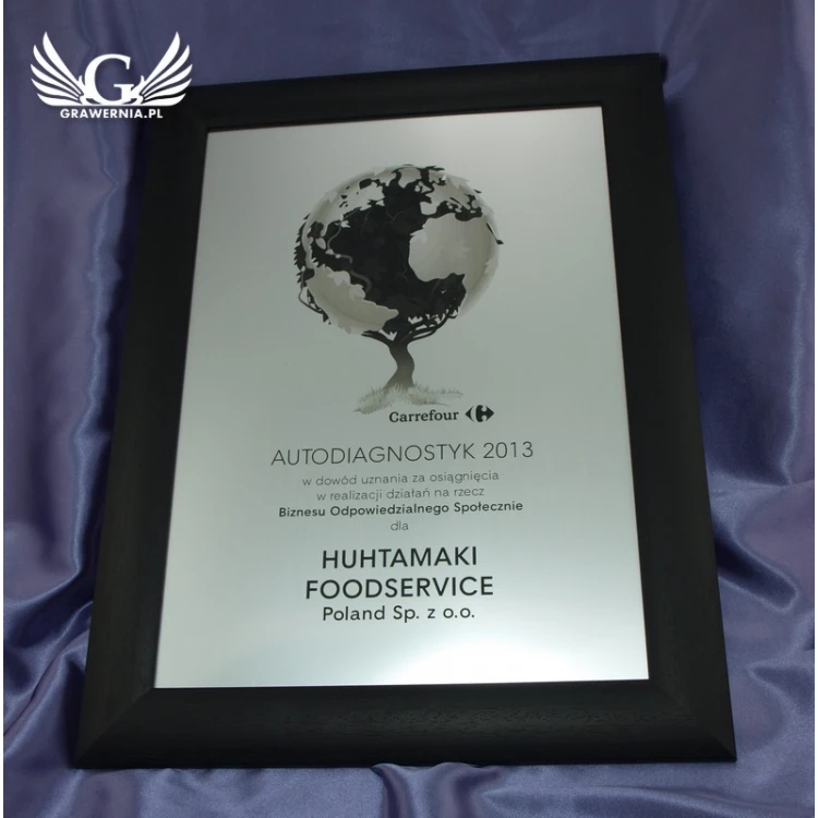 SPECIAL DIPLOMA in FRAME - SL017 - A3 format + frame