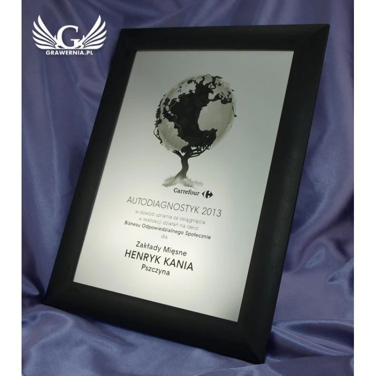 SPECIAL DIPLOMA in FRAME - SL017 - A3 format + frame