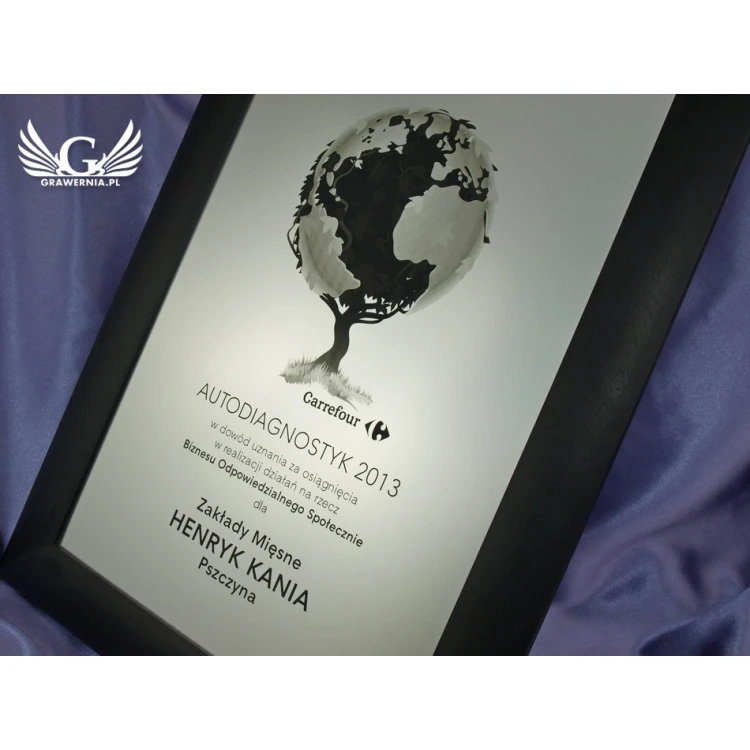 SPECIAL DIPLOMA in FRAME - SL017 - A3 format + frame