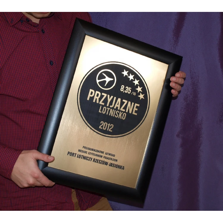 SPECIAL DIPLOMA in FRAME - SL017 - A3 format + frame