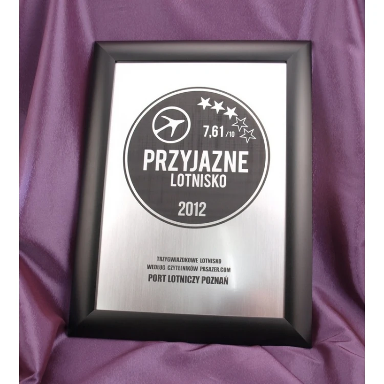 SPECIAL DIPLOMA in FRAME - SL017 - A3 format + frame