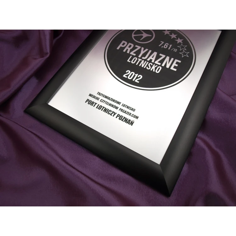 SPECIAL DIPLOMA in FRAME - SL017 - A3 format + frame
