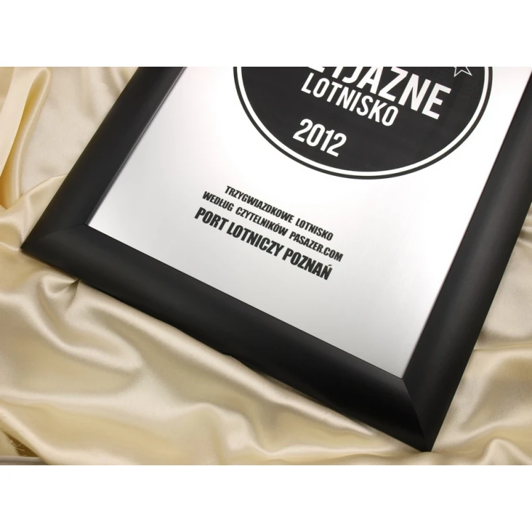 SPECIAL DIPLOMA in FRAME - SL017 - A3 format + frame