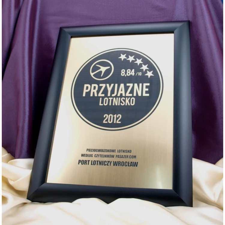 SPECIAL DIPLOMA in FRAME - SL017 - A3 format + frame