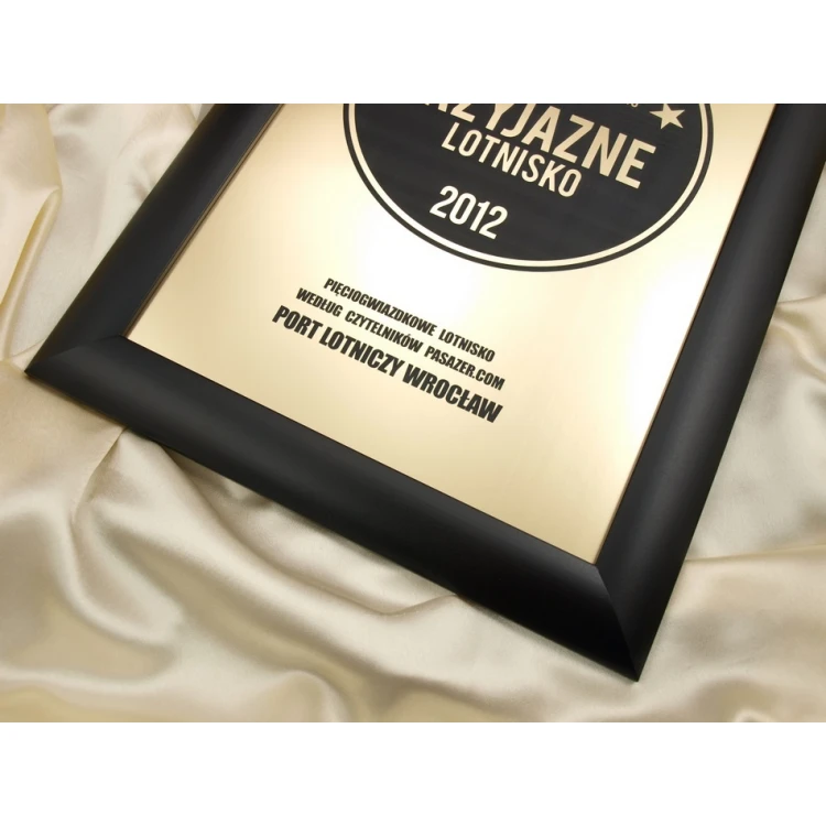 SPECIAL DIPLOMA in FRAME - SL017 - A3 format + frame
