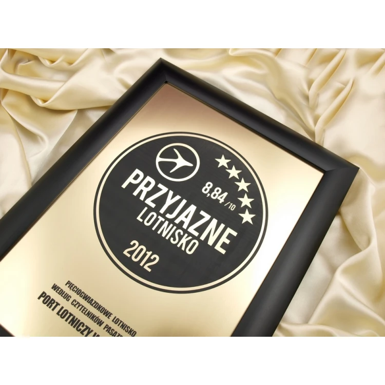 SPECIAL DIPLOMA in FRAME - SL017 - A3 format + frame