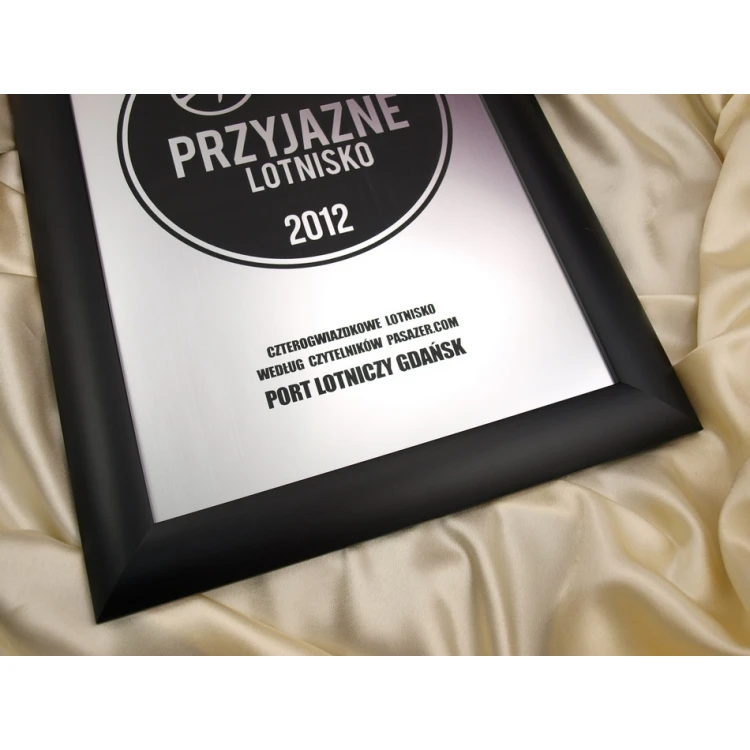 SPECIAL DIPLOMA in FRAME - SL017 - A3 format + frame