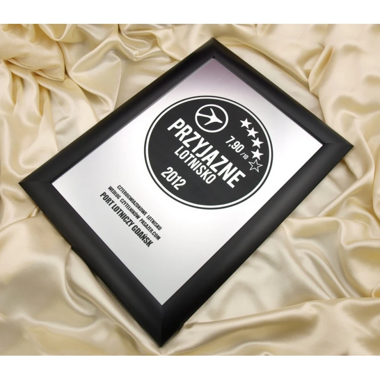 SPECIAL DIPLOMA in FRAME - SL017 - A3 format + frame