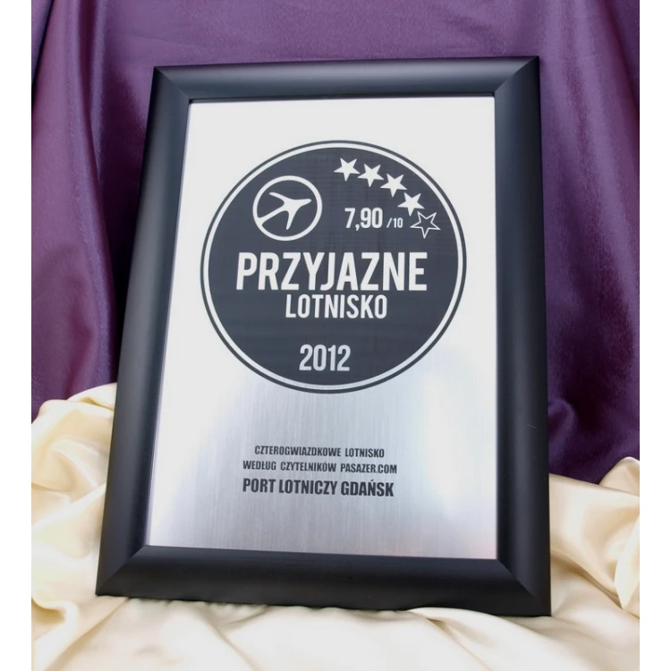 SPECIAL DIPLOMA in FRAME - SL017 - A3 format + frame