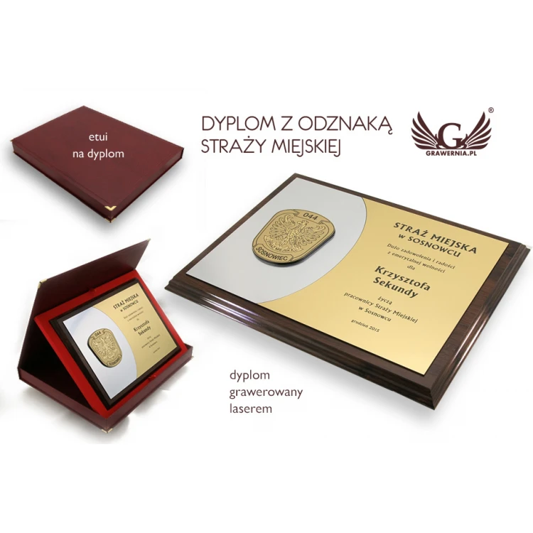 Municipal Guard Diploma - Levels - SL045