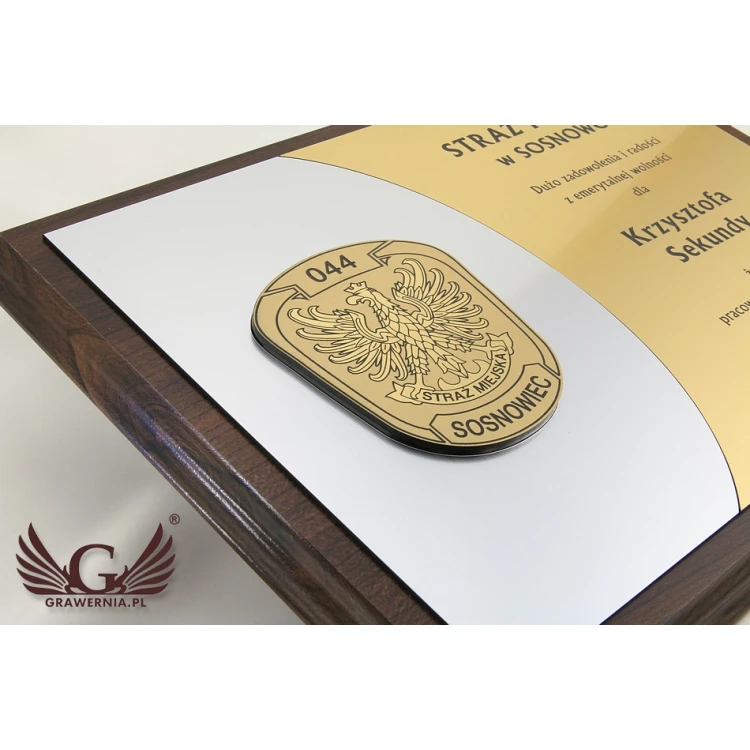 Municipal Guard Diploma - Levels - SL045