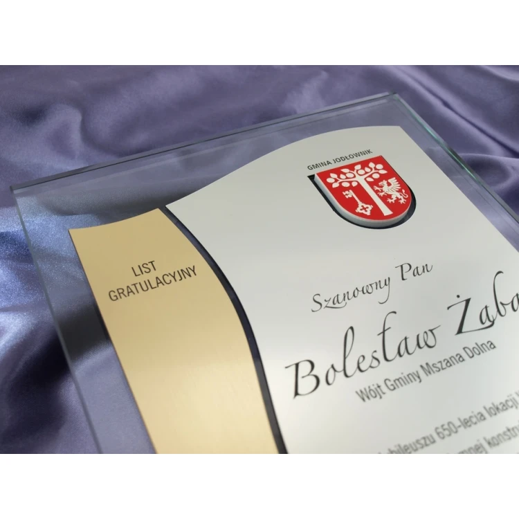 GLASS DIPLOMA with COAT OF ARMS or any logo - DSZ026 - vertical
