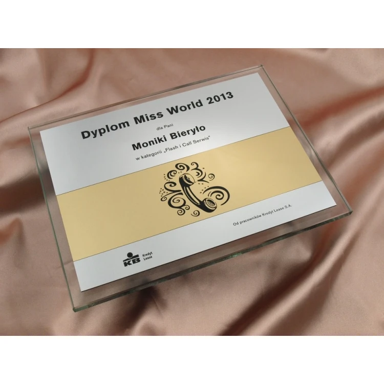 GLASS DIPLOMA in CASE - DSZ022 - horizontal