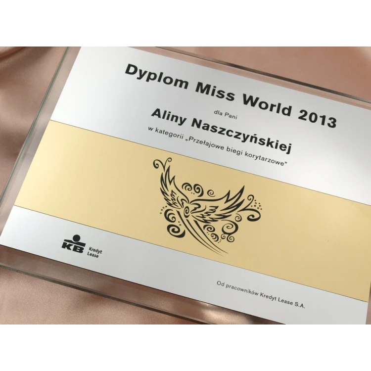 GLASS DIPLOMA in CASE - DSZ022 - horizontal