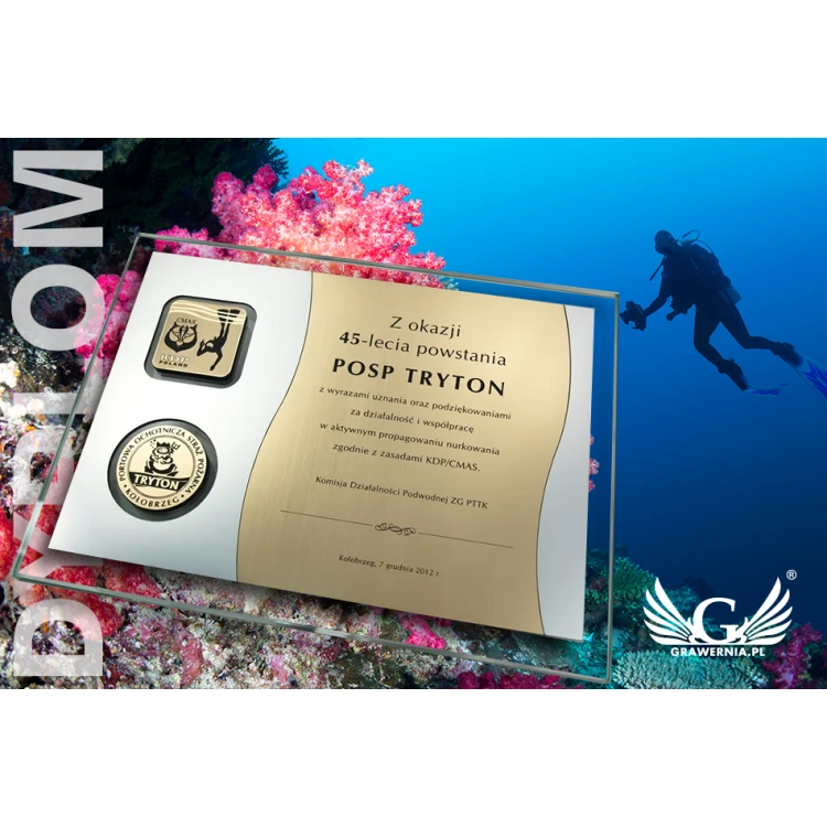 GLASS DIPLOMA in CASE - DSZ019 - horizontal