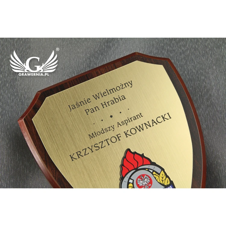 Diploma Shield TX159