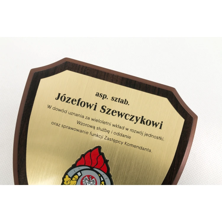 Diploma Shield TX305